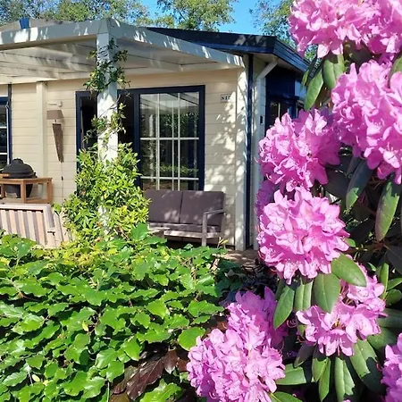 Sfeervol Ontspannen Op De Veluwe Met Prive Hottub - Boslodge By Cence * Voorthuizen