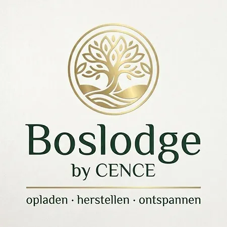 Chalet Sfeervol Ontspannen Op De Veluwe Met Privé Hottub - Boslodge By Cence Voorthuizen